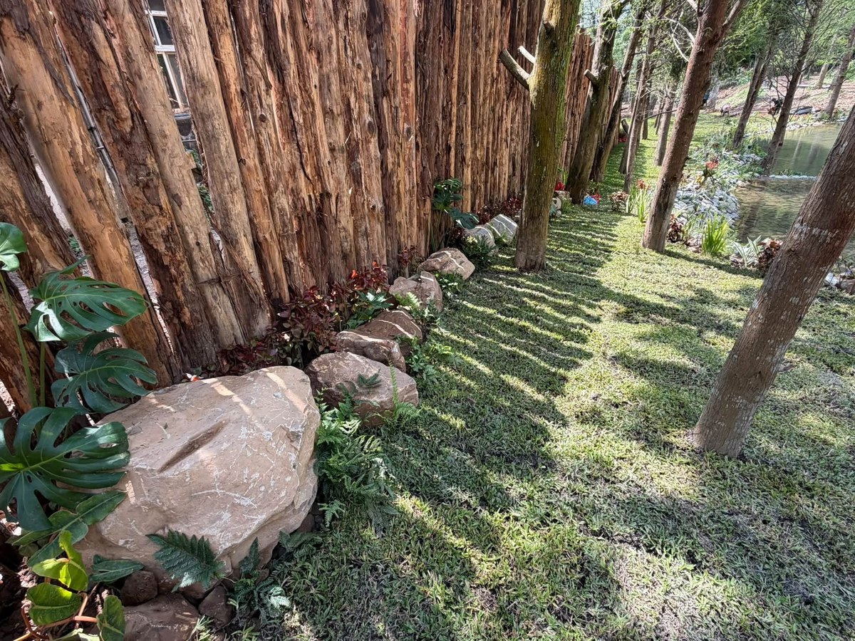 木椿圍籬與林蔭步道綠化
